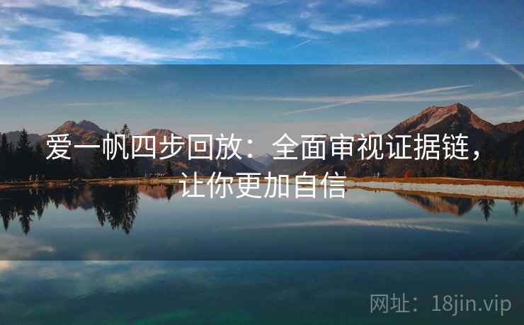 爱一帆四步回放：全面审视证据链，让你更加自信